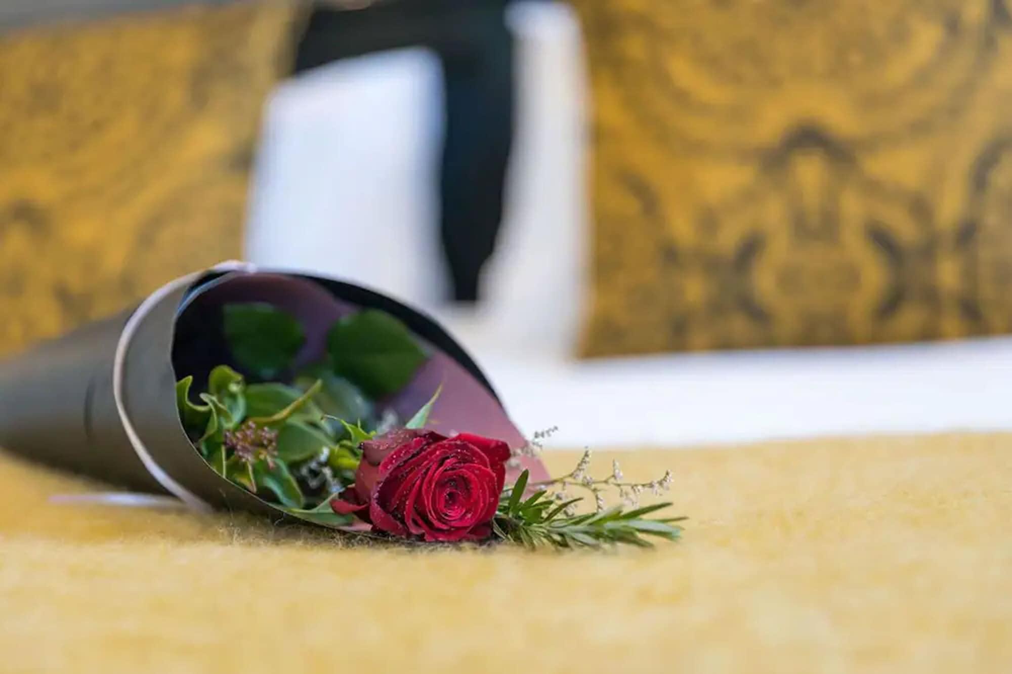 Palazzo Motor Lodge Nelson Exteriér fotografie A rose in a vase
